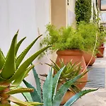 Leone Apartment Verona